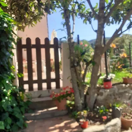 Holiday home Cozy House With Garden In *